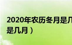 2020年农历冬月是几月份（2020年农历冬月是几月）