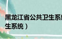 黑龙江省公共卫生系统登录（黑龙江省公共卫生系统）