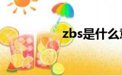 zbs是什么意思（zbs）