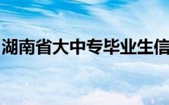 湖南省大中专毕业生信息咨询与就业指导中心