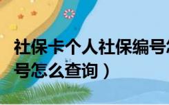 社保卡个人社保编号怎么查询（社保卡个人编号怎么查询）