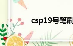 csp19号笔刷（19号笔刷）