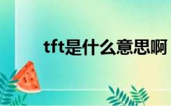 tft是什么意思啊（tft是什么意思）