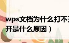 wps文档为什么打不开怎么办（wps文档打不开是什么原因）