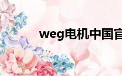 weg电机中国官网（weg电机）