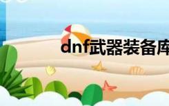 dnf武器装备库（dnf装备库）