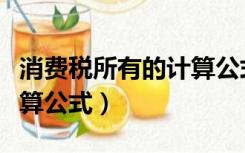 消费税所有的计算公式（怎样理解消费税的计算公式）