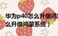 华为p40怎么升级鸿蒙系统视频（华为p40怎么升级鸿蒙系统）