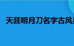 天涯明月刀名字古风男（天涯明月刀名字）