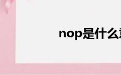 nop是什么意思（nop）