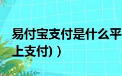 易付宝支付是什么平台（什么叫易宝支付 (网上支付)）