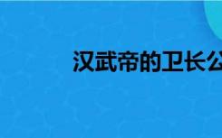 汉武帝的卫长公主（卫长公主）