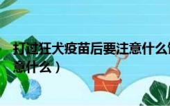 打过狂犬疫苗后要注意什么饮食忌口（打过狂犬疫苗后要注意什么）