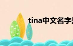 tina中文名字是什么（tina）