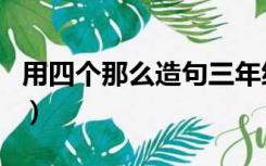 用四个那么造句三年级简单（用四个那么造句）