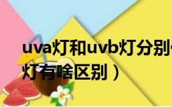 uva灯和uvb灯分别代表什么（UVB和UVA灯有啥区别）