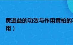 黄道益的功效与作用黄柏的功效与作用（黄道益的功效与作用）