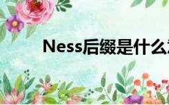 Ness后缀是什么意思（ness后缀）