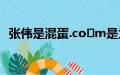 张伟是混蛋.co m是为什么（张伟是混蛋）