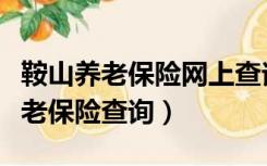 鞍山养老保险网上查询（鞍山市社保局个人养老保险查询）