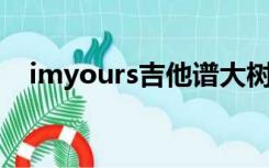 imyours吉他谱大树（im yours吉他谱）