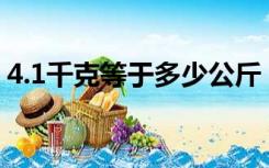 4.1千克等于多少公斤（1千克等于多少公斤）