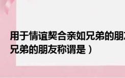 用于情谊契合亲如兄弟的朋友的称谓是什么（情谊契合亲如兄弟的朋友称谓是）