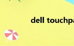 dell touchpad可以卸载吗