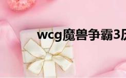 wcg魔兽争霸3历届冠军（wvg）