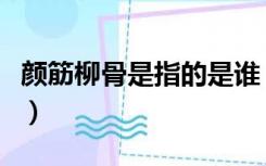 颜筋柳骨是指的是谁（颜筋柳骨是指哪两个人）