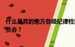 什么是党的地方各级纪律检查委员会什么是基层纪律检查委员会？