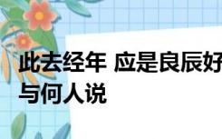 此去经年 应是良辰好景虚设 纵有千种风情 更与何人说