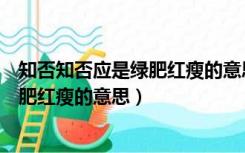 知否知否应是绿肥红瘦的意思有什么含意（知否知否应是绿肥红瘦的意思）