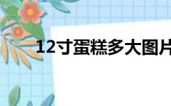 12寸蛋糕多大图片（12寸蛋糕多大）