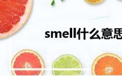 smell什么意思英语（smell）