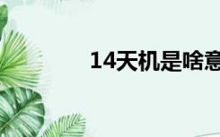 14天机是啥意思（14天机）