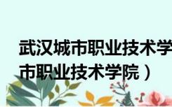 武汉城市职业技术学院2022分数线（武汉城市职业技术学院）