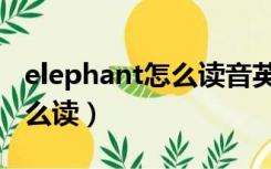 elephant怎么读音英语怎么读（elephant怎么读）