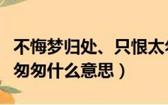 不悔梦归处、只恨太匆匆（不悔梦归处只恨太匆匆什么意思）