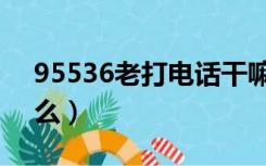 95536老打电话干嘛（95561老打电话干什么）