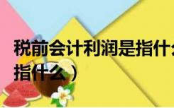 税前会计利润是指什么收入（税前会计利润是指什么）