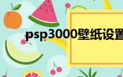 psp3000壁纸设置（psp3000壁纸）