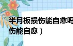 半月板损伤能自愈吗我今年38岁（半月板损伤能自愈）