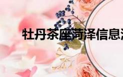 牡丹茶座菏泽信息港征婚（牡丹茶座）