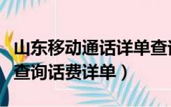 山东移动通话详单查询（山东移动网上营业厅查询话费详单）