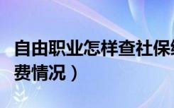 自由职业怎样查社保缴费情况（怎样查社保缴费情况）