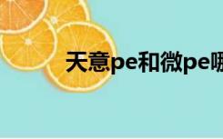 天意pe和微pe哪个好（天意pe）