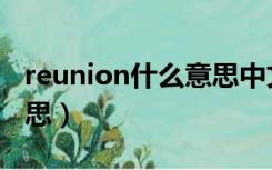 reunion什么意思中文意思（reunion什么意思）