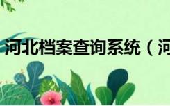 河北档案查询系统（河北省人事档案查询网）