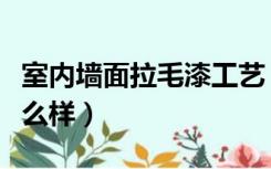 室内墙面拉毛漆工艺（使用拉毛漆装修效果怎么样）